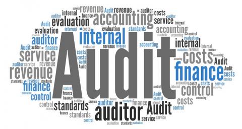 Training Diploma in Auditing and Financial Control image